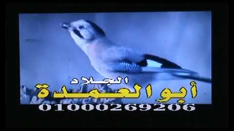 @الشيخ قطب احمدالطويل ماشاءالله ابداع وروعه الروووووووووعه تلاوه خاشغه بارك الله فى صوته الندى الشجى
