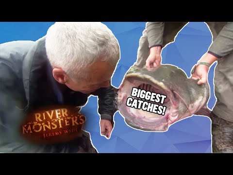 Biggest Catches: Part 1 - River Monsters