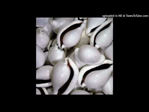J.L. Magoya — Génesis