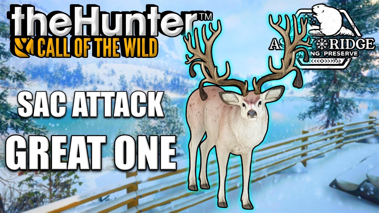 SECOND GREAT ONE MULE DEER DOWN! | Sack Rack Madness LIVE! - YouTube