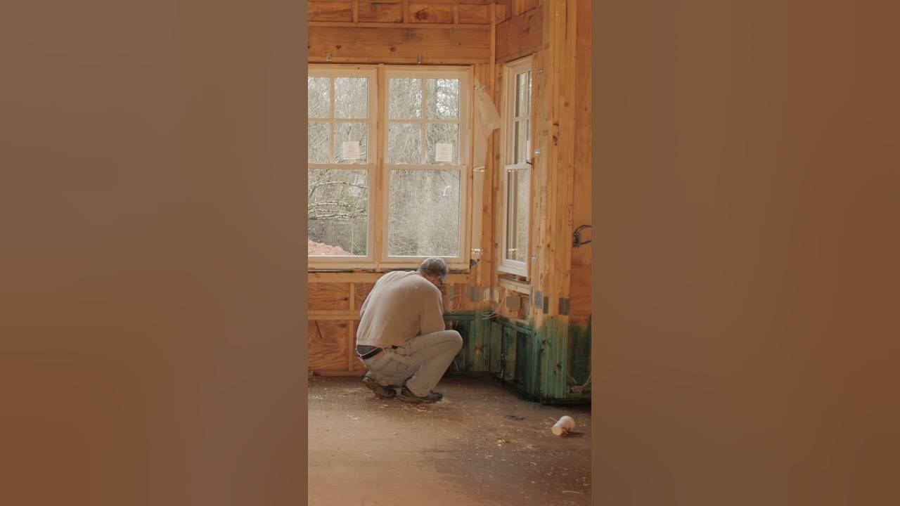 Wood boring beetles treatment tips from pestcontrol YouTube