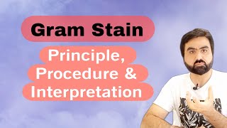 Gram stain| Principle| Procedure and Interpretation| English Version