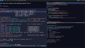 dwl on nixos with a override for config.h and patches