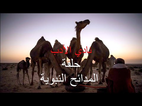 نادي الادب المدائح النبوية تقديم حمدي ميارة