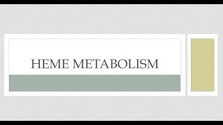 Heme Metaboilsm ( session1)