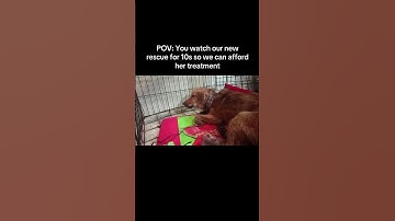 You can donate via the link in our bio, and it will help her move forward. any help counts. 🙏❤️