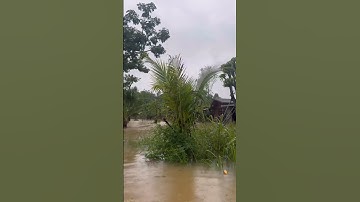 Do mưa lũ ngậm ở Huế ngày 28/10/2025 #shortvideo #automobile #cuocsong #thinhhanh #music #tamtrang