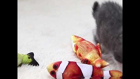 Catnip Fish Toys for Cat Simulation Fish Shape Realistic Fluffy Catnip Doll Interactive Pets