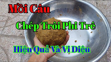 Mồi câu cá trôi, chép, rô phi, cá trê, Hiệu Quả - Dễ Làm | Hoàng Minh Official