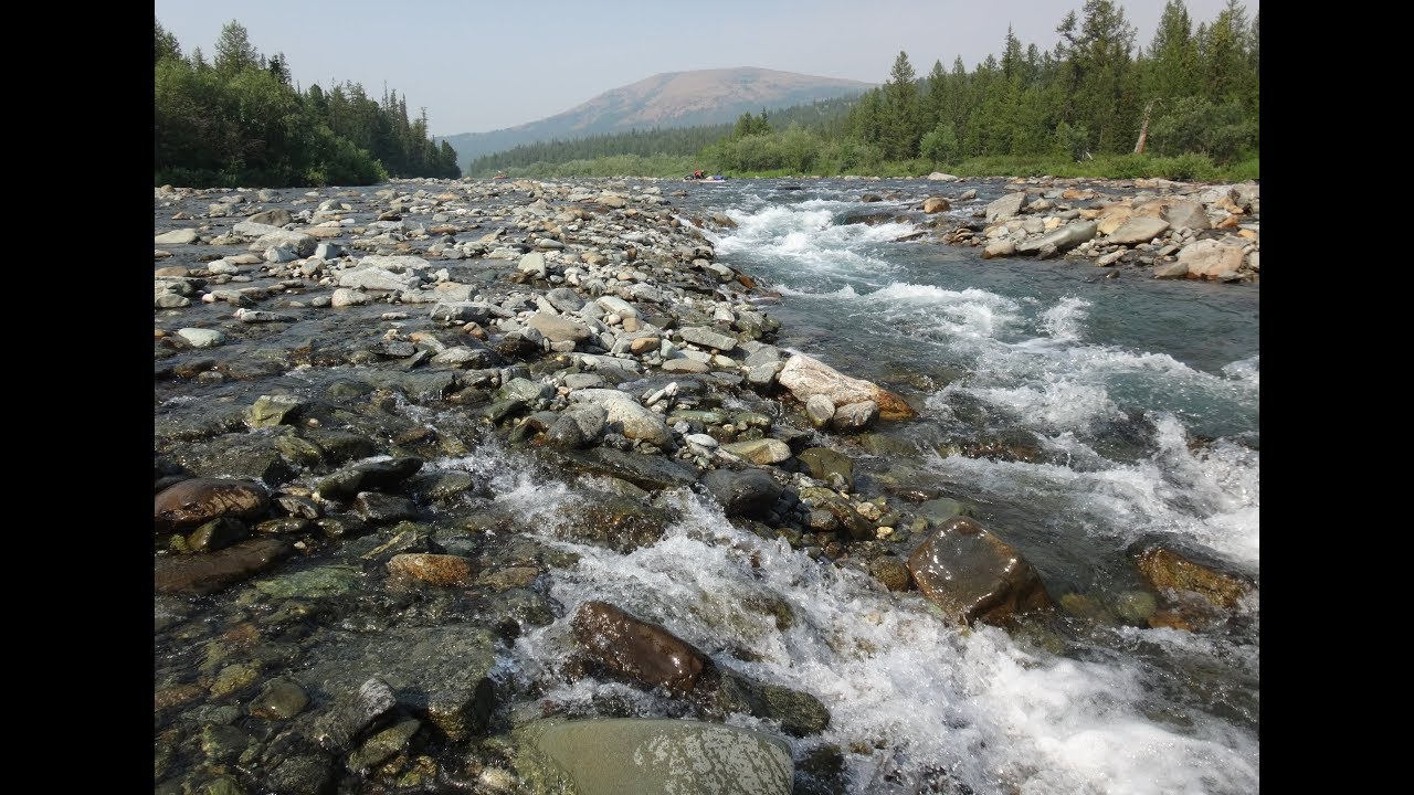 Мокрая Сыня и Сыня. Сплав. Июль - август 2017
