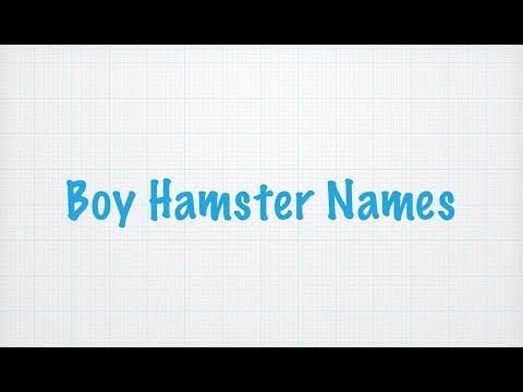 boy-hamster-names!-💙
