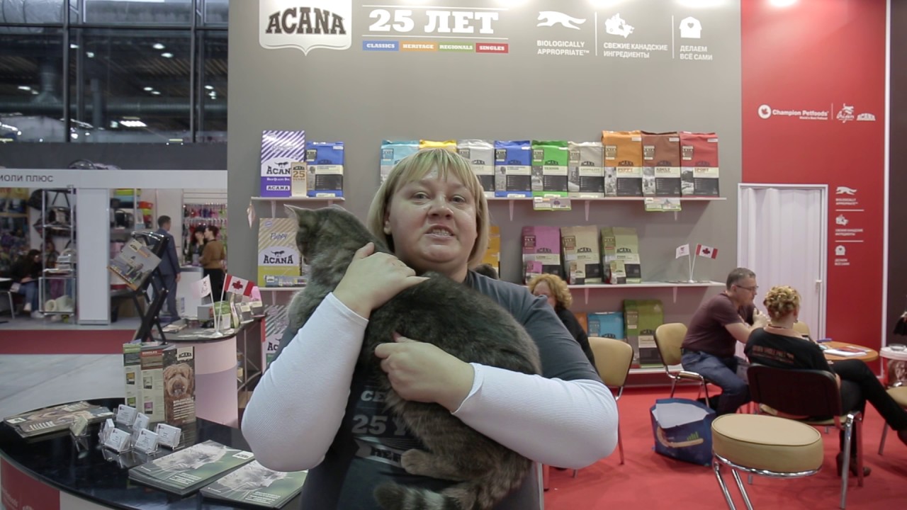 ACANA cat ParkZoo 2016