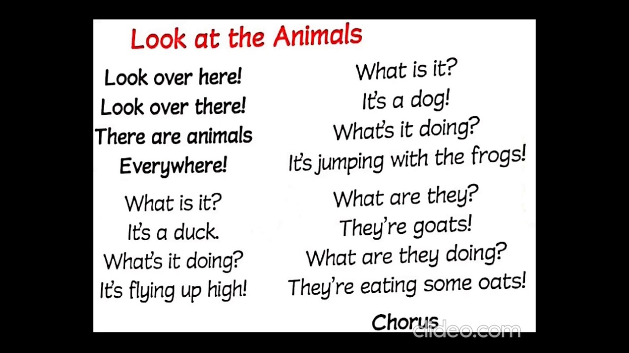 Unit 6- Look at the animals (song)- Big English 1- Grade 3