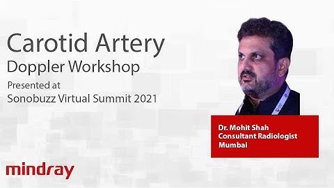 DR MOHIT SHAH |  CAROTID DOPPLER WORKSHOP | SONOBUZZ VIRTUAL