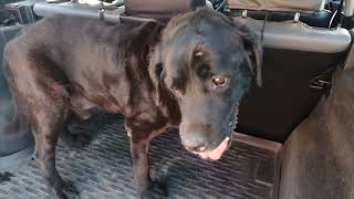 Latest News on Sheffield's Health