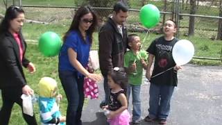 Bison Welcome Party - Lords Park Zoo, Elgin, Illinois - May 4, 2013