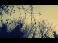 "Wilderness" by Adam Hurst, Dreamy Cello & Piano