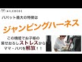 ベビーザらス - エールベベ パパット2 プレミアム【ISOFIX】【チャイルドシート】