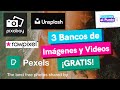 3 BANCOS de IMÁGENES Y VIDEOS sin COPYRIGHT 📸 | Tutoriales al punto