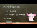 おうち生物 1. タンパク質 （高校生物）