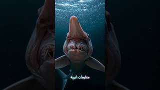 😱 كائنات البحر العميق… مرعبة أكثر مما تتخيل! #viral #اكسبلور #animals #معلومات