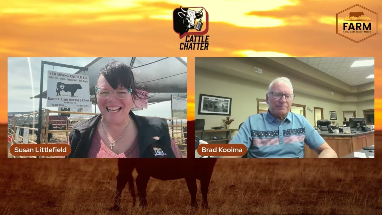 Rough Ride Roller Coaster Action in the Cattle Market | 9/11/25 Cattle Chatter Rough Ride Roller Coaster Action in the Cattle Market | 9/11/25 Cattle Chatter