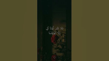 سورة الإسراء - آية 23,24 - علي جابر