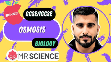 Osmosis | Bite-sized | GCSE | IGCSE Biology | Mr Science in 8K