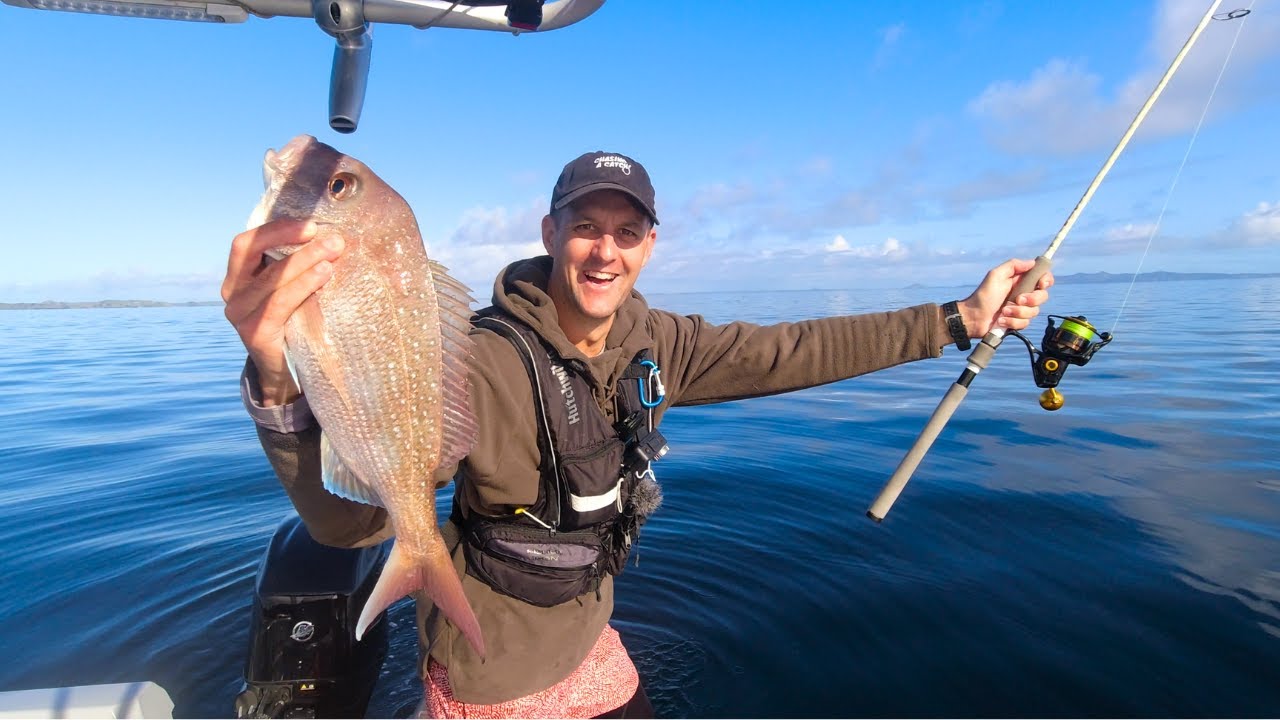Big snapper feed on soft bait Snapper fishing NZ soft bait