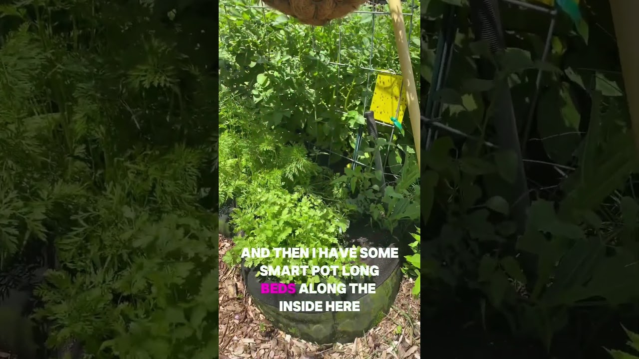 Uploads from From Seed to Spoon Garden Planning App