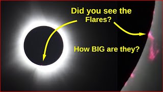 The 2024 Eclipse: What we all saw!