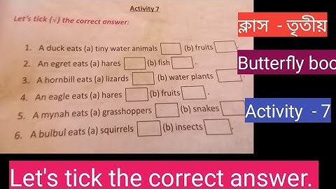 Class-3/Butterfly book/Activity  - 7/Let