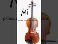 🎻Video tutorial di violino 🎻#seguimi #violin #tutorial #lezionidiviolino