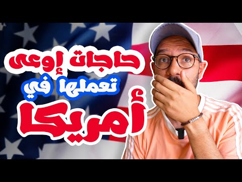 فيديو: 10 أشياء تحبها في فلوريدا