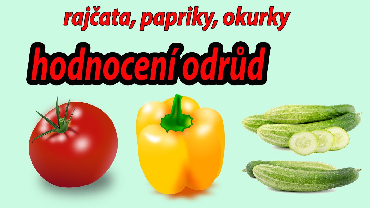 hodnocení odrůd rajčat okurek a paprik