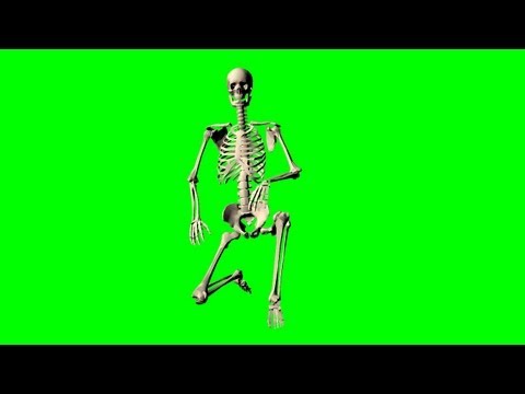 skeleton - various poses - green screen effect