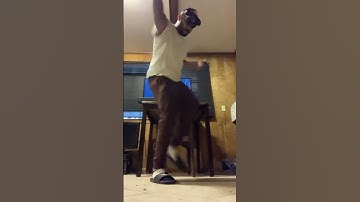 Thumbnail of B-Don The Goat saucing to Lil Uzi Vert Chrome Heart Tags on Instagram