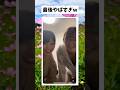最後やばすぎw