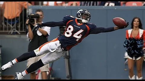 Every Brandon Lloyd Touchdown | Brandon Lloyd High...