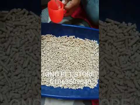 ازاي نستخدم الرمل الخشب للقطط    وازاي ننظفه وازاي نعرف النوع الكويس للرمل الخشب