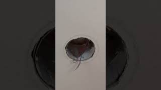 6" Recessed light Ballast Bypass