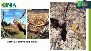 Webinar Manejo invernales en nogal y proyecciones de la nueva temporada_Giovanni Lobos_INIA