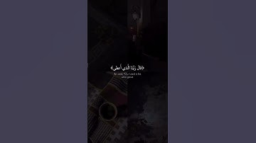 مقطع قران||تلاوة هادئة||ارح قلبك||حالات واتس اب { ستوريات قرآن } حالات قرانية للواتس اب