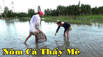 BẮT CÁ BẰNG CÁCH TRUYỀN THỐNG CÁ LÓC NHÌN THẤY MÊ BỮA CƠM MIỀN TÂY/CATCH FISH NGÃ NĂM TV