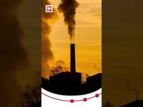 مازوت چیست و مازوت سوزی چه اثراتی دارد
