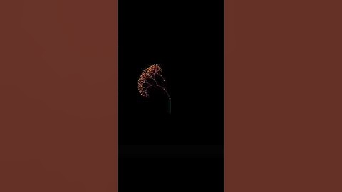 Amazing Fractal Tree Design Using Python Turtle 😎   Python Tutorial #shorts #python #pythonshorts