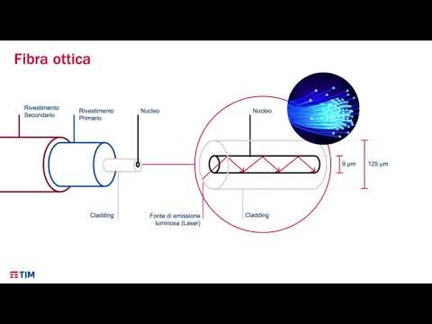 Fibre ottiche cavi in rame e ponti radio nelle telecomunicazioni   WeSchool