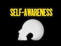 Going down the rabbit hole of selfawareness