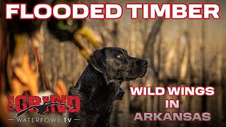 Limits Of Mallards In The Arkansas Flooded Timber (Wild Wings Part 2) | THE GRIND S12: E9