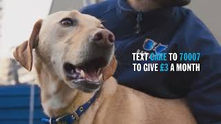 The Battersea Journey
Bringing viewers closer to the animals who need us most. Follow the Battersea journey and the moments shared between staff and animal through the experience of Dash and Pebbles. The Battersea Journey